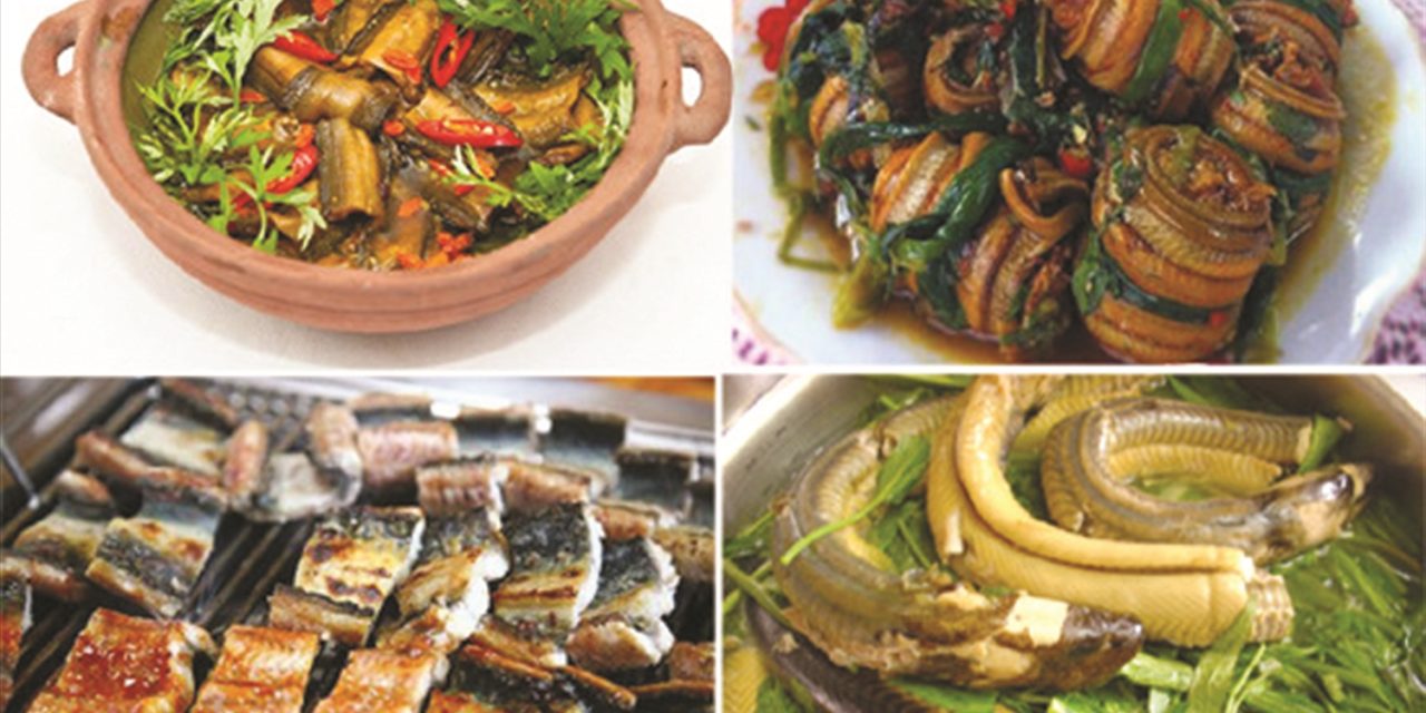 Belut Nghe An Di Akui Sebagai Warisan Kuliner Nasional Vietnam