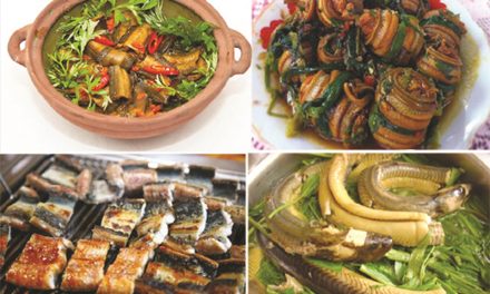 Belut Nghe An Di Akui Sebagai Warisan Kuliner Nasional Vietnam