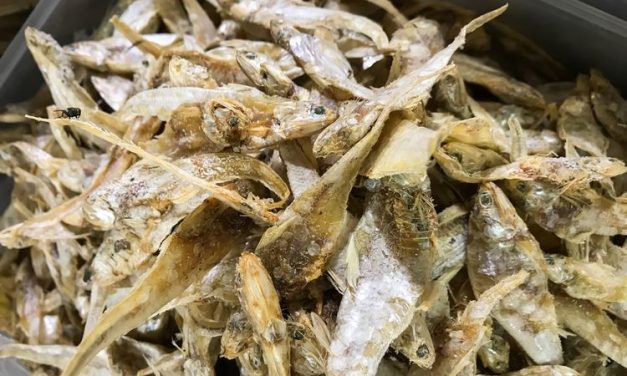 Metode Pengawetan Alami Ikan Asin Tanpa Formalin Peneliti BRIN