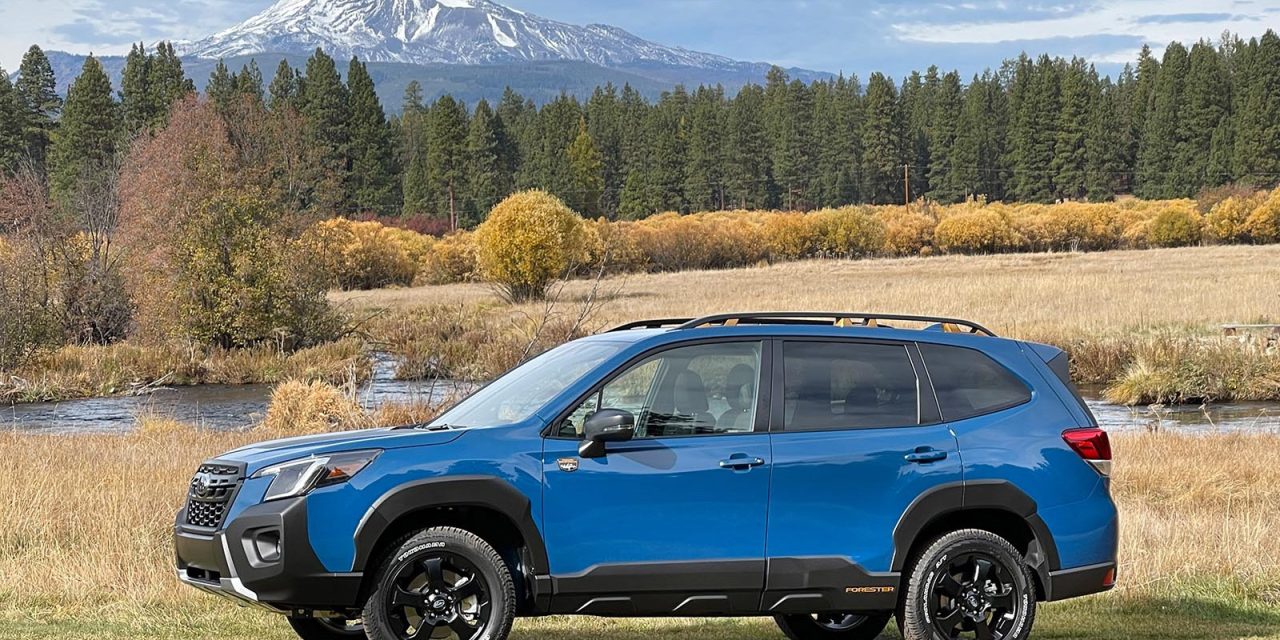 Subaru Forester Wilderness Hadir, Siap Hadapi Medan Off-Road