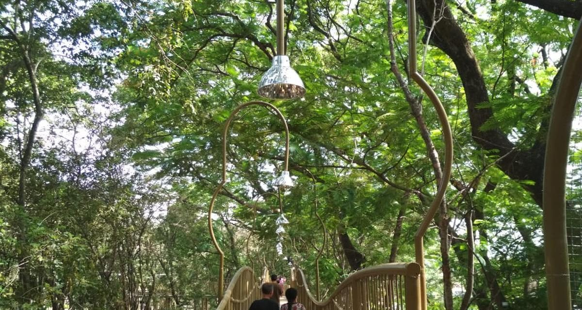 Quiet Outdoor Travel: Wisata Hutan Tanpa Sinyal Diburu Jutawan