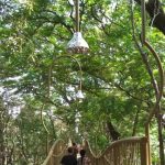 Quiet Outdoor Travel: Wisata Hutan Tanpa Sinyal Diburu Jutawan