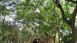 Quiet Outdoor Travel: Wisata Hutan Tanpa Sinyal Diburu Jutawan