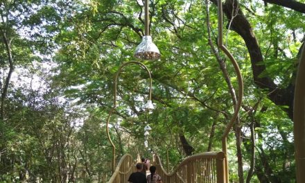 Quiet Outdoor Travel: Wisata Hutan Tanpa Sinyal Diburu Jutawan